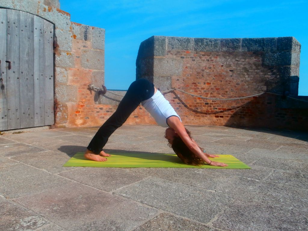 hatha yoga posture adho mukha svanasana - 3