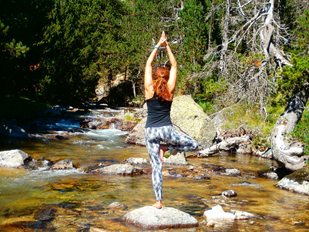 hatha yoga posture vrikshasana - 3