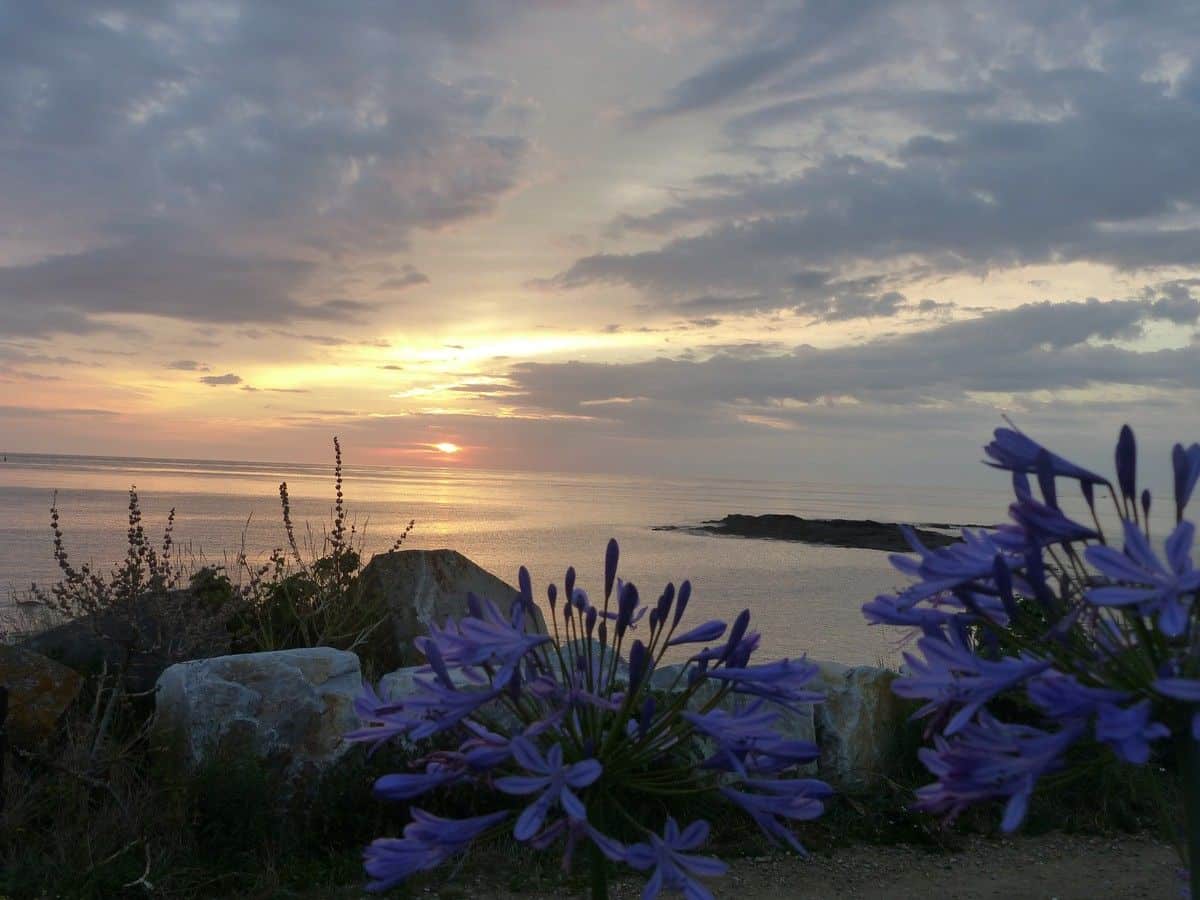 stage hatha yoga nord cotentin juillet 2018 - 3