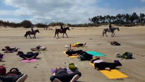 stage yoga île d'Oléron juin 2016 - 6