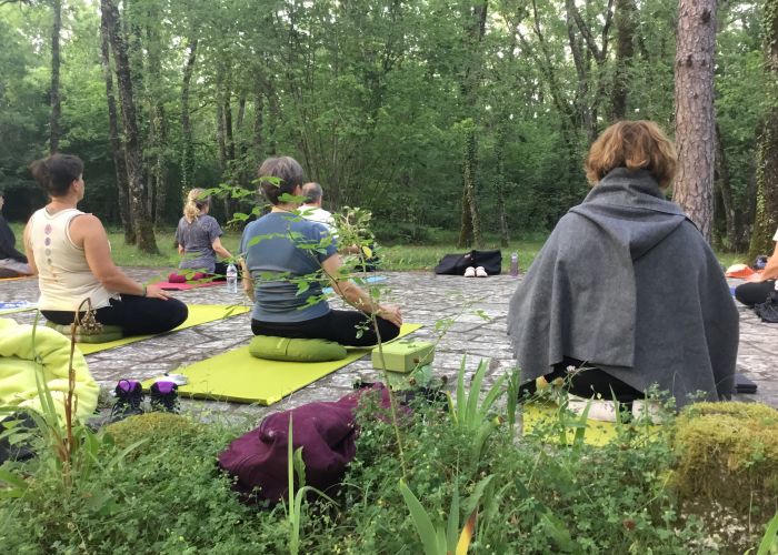 Stage de yoga champêtre yang \ yin en forêt